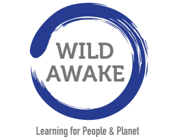 WildAwake logo